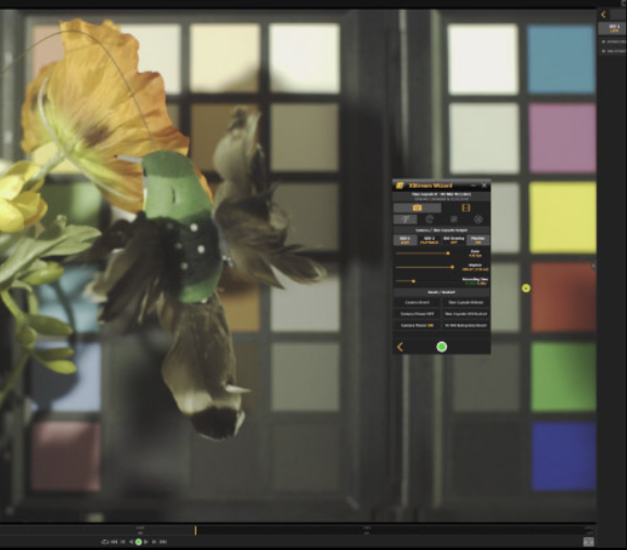 Software Motion Studio